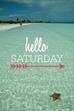 df40e7e917147a3c03cfb8795e391b87.webp