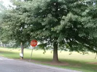 DSCF0005.webp