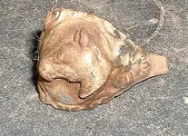 DSCF0004(1).webp