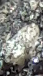 Screenshot_20180905-122727.webp