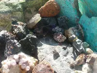20180711_093204.webp 20180711_093204.webp