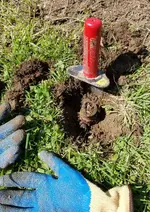 20180809_193742.webp