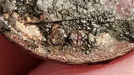 20180728_205452.webp