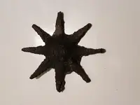 20180809_223952.webp