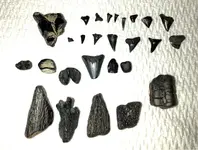 ImageUploadedByTreasureNet.com1534609019.310841.webp