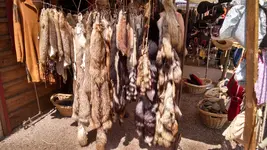 IMG_20180729_122107407_HDR.webp