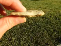 DSCN7120_1.webp