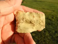 DSCN7125_1.webp