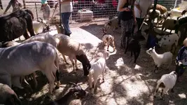 IMG_20180729_111644489.webp