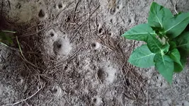 20180711_204436.webp