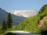 trip 080718 4.webp