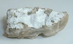 white chalc2.webp white chalc2.webp