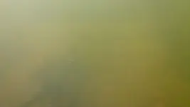 72918 004.webp