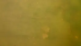 72918 005.webp 72918 005.webp