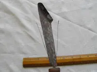 DSCF7029.webp