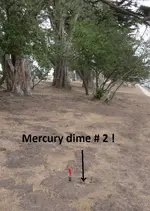 6 silver coins today ! 014.webp
