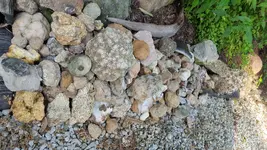 1533909649472390724685.webp