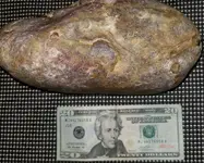 20180922_123857.webp