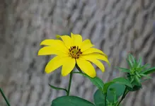 K1600_015.webp