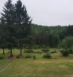 20180721_174724.webp