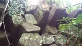 20100108_215457.webp 20100108_215457.webp
