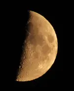 VA deer and moon 014.webp