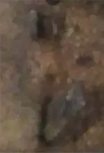 Screen Shot 22 2018-09-15 at 10.51.23 AM_edited-2.webp