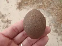 egg.webp