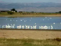 walk 092218 1.webp