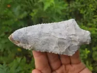 20180818_164530.webp