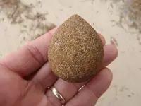 egg2.webp