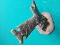 20180915_100600.webp