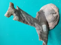 20180915_100649.webp