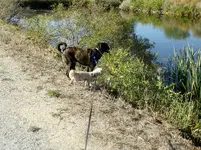 walk 092218 4.webp