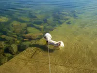 walk 092218 5.webp