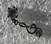 Earring.webp