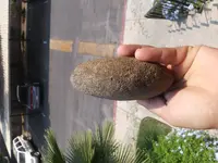 20180730_123450.webp