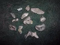 100_1744.webp