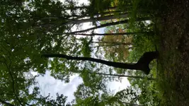 20180810_121711.webp
