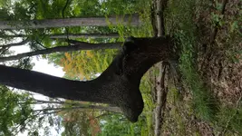 20180810_120837.webp