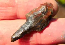 DSCN9286.webp