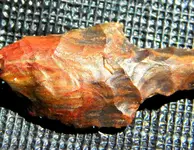 DSCN9276.webp