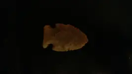 0818182012.webp