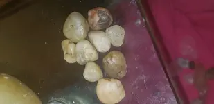 20181001_045605.webp