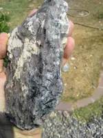 20180810_095640.webp