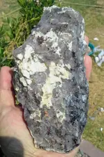 20180810_095558-1.webp