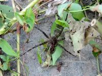 K1600_010.webp