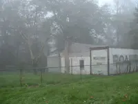 DSCF0002.webp
