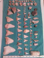 NCM_0190.webp