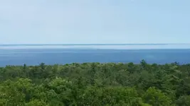 20180810_141444.webp